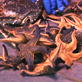 play video on Discovery Channel