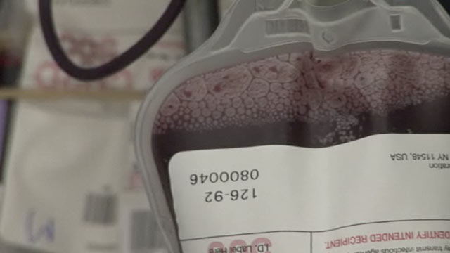 Why? Tell Me Why!: Blood Types