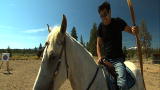 Mythbusters: Ride Em MythBusters