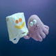 Creature Comforts: Octopus and Biodegradability