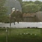 Planet's Funniest Animals: Trampoline Dog