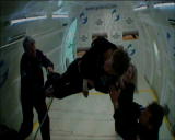 Master of the Universe: Stephen Hawking Gravity