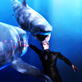 Untamed and Uncut: Double Great White Attack