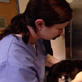 Animal Cops: Evaluating Piper