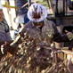 Dirty Jobs: Dirty Boy