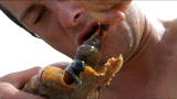 Man vs. Wild : Sea-Snail Lunch