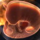 Ultimate Guide to Pregnancy: Month Two