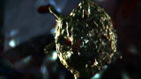 Monsters Inside Me: The Eye-Eating Parasite