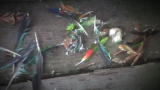 play video on Discovery Channel