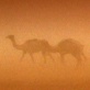 Planet Earth: Deserts: Sahara Sandstorm
