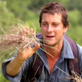 Man vs. Wild: Over Here!