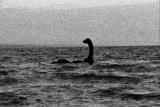 Weird True & Freaky: Legend of the Loch Ness