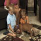 Petfinder: Puppy Socialization
