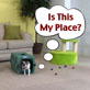 Petfinder: Kids and Cats