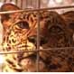 The Pet Psychic: Kiya the Leopard