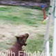 Bissell Pet Games Week 8: We Have Lift off