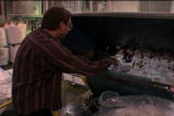 G Word Shorts: Styrofoam Recycling