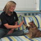 Petfinder: Cat High 5