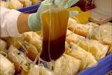 How It's Made: Blood Products