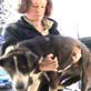 Iditarod: Head Veterinary Technician