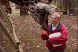 Growing Up Giraffe: Giraffe Relationship