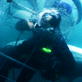 Untamed and Uncut: Shark Cage Break-In