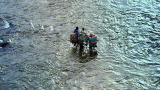 Out of the Wild: How To Cross a River