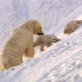 play video on Discovery Channel