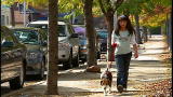 2008: The Year in Animals: No. 6 - Pooch Comes Home