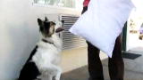 The Zak George Project : Ethical Dilemma and Frisbee in  ...