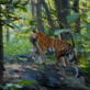 Tiger: Spy in the Jungle: A Tigress Stalks a Sambar