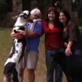 It's Me or the Dog: A Great Challenge