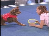 Pet Star: Ginger Rope