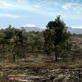 Discovery Project Earth: Raining Forests In a Nutshell
