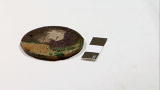 Treasure Quest: What Coins Tell Us