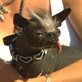 World's Ugliest Dog: Classic Elwood