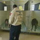 Animal Cops: Philadelphia: Holding