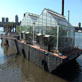 Earth: Urban Agriculture Blooms