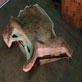 Dinos: The Dino Mummy
