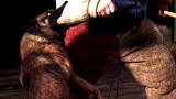 Time Warp: Dog Bite