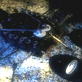 Warbots: Futurebots: Waterbots and MULE's
