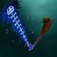 Creature Comforts: Eels and Energy Conservation