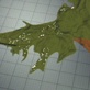 Combat Zone: Invasion of Grenada - Part 2