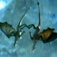 Dragons: Dragon Courtship Ritual