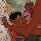 The Jungle Book DVD: 