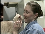 Animal Cops Houston: Second Chance Calista