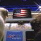 Puppy Bowl IV: Star-Spangled Banner