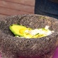 Home Made Simple: Desktop Guacamole