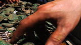 Treasure Quest: The Color of Money
