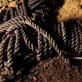Archaeo: World's Oldest Ropes Found